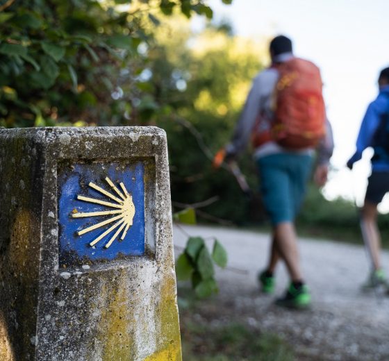 camino de santiago