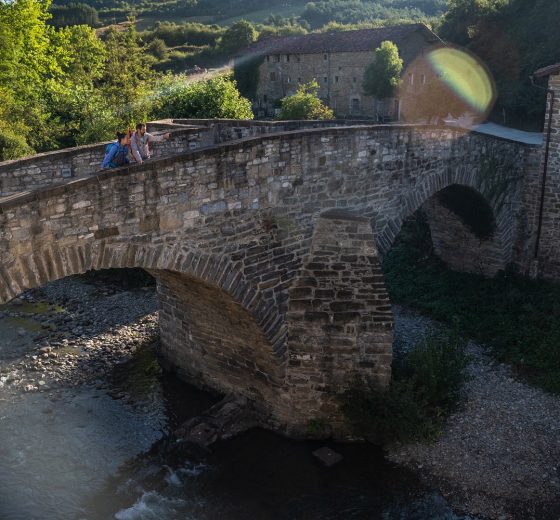 camino de santiago