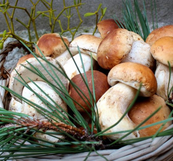 ULTURA LOCAL A TRAVÉS DE LA GASTRONOMIA