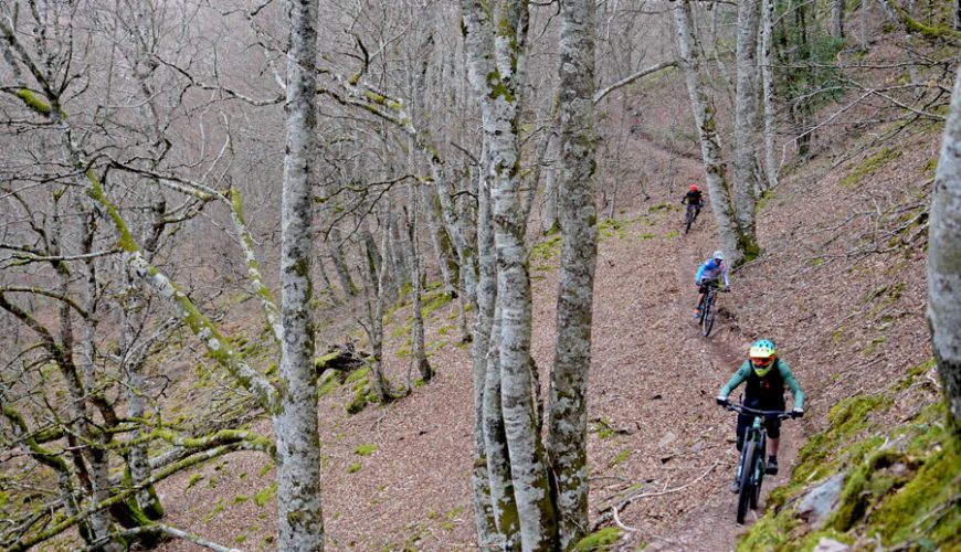 Pirineos Punto Bike